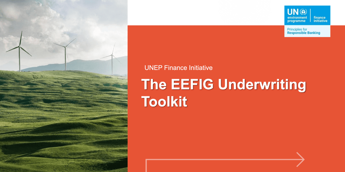 Download the Energy Efficiency Financial Institutions Group Underwriting Toolkit document
