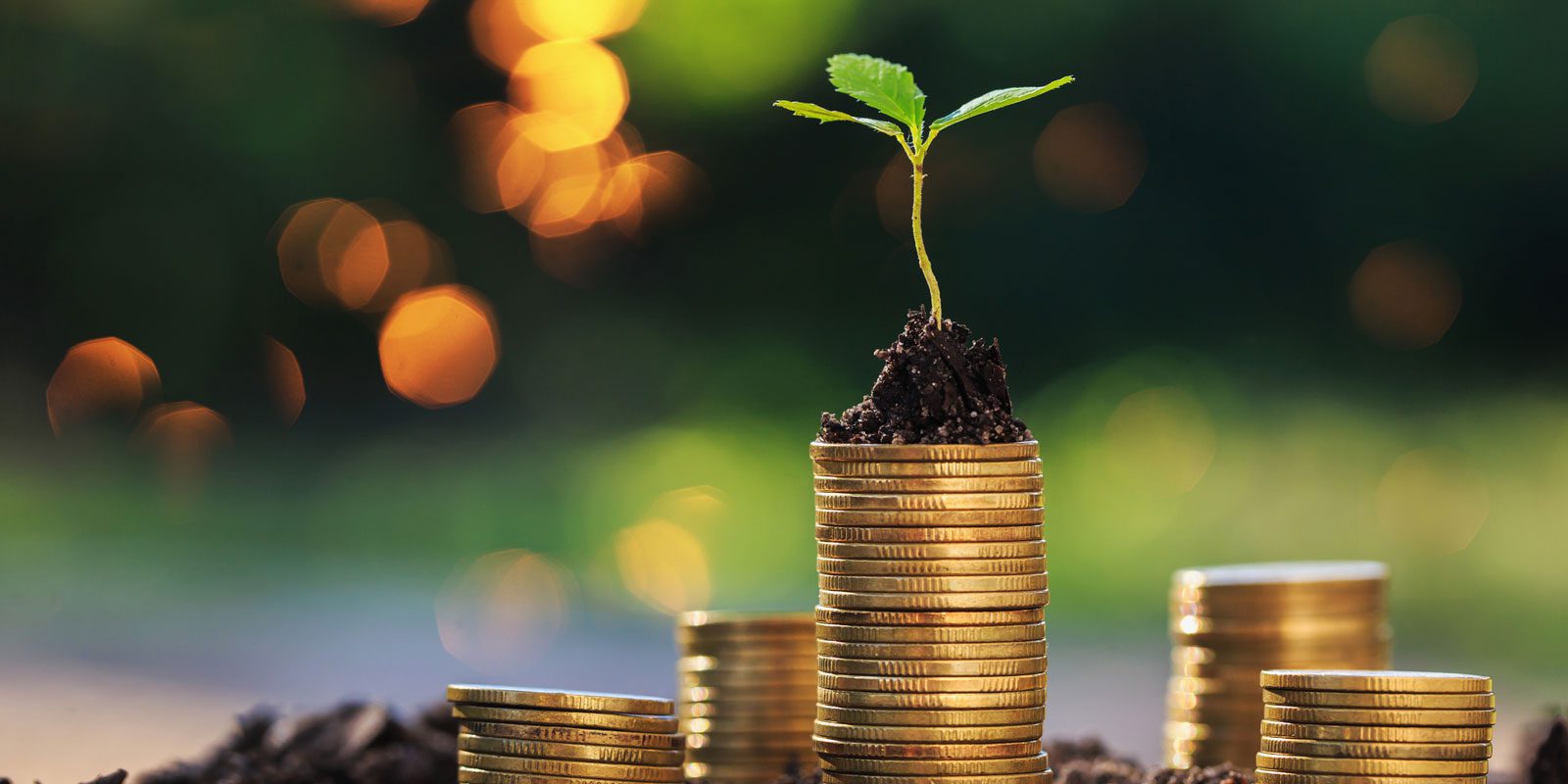 Download the Scaling up Investment for Decarbonisation document